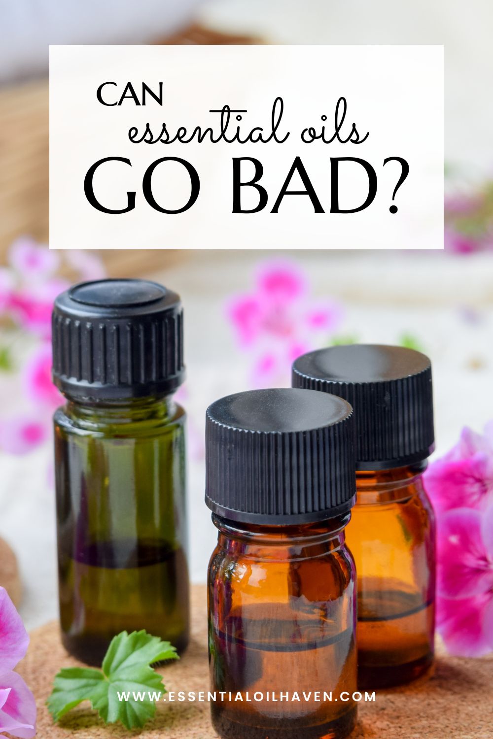 do-essential-oils-go-bad-a-guide-to-essential-oils-shelf-life