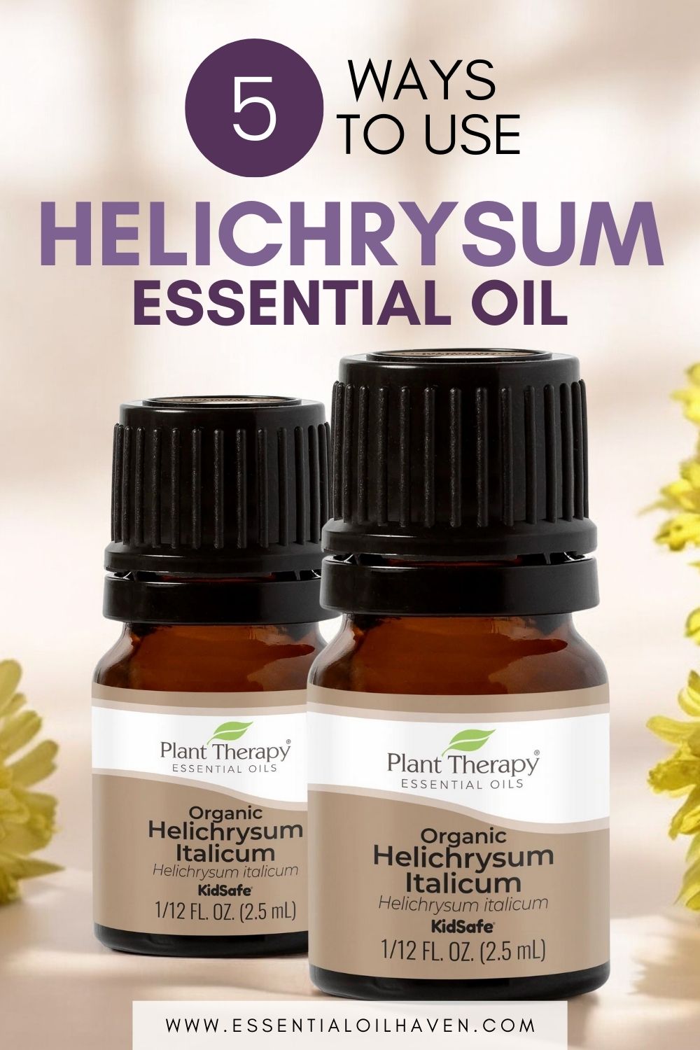 How To Use Helichrysum Essential Oil Top 5 Benefits