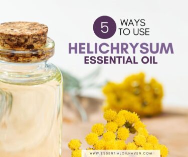 what is helichrysum essential oil good for