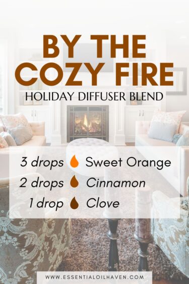 Christmas Diffuser Blend By The Cozy Fire