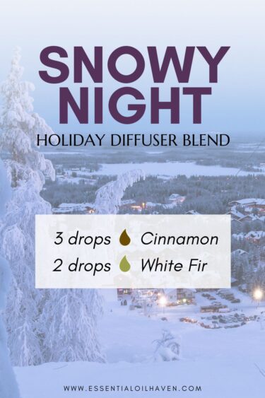 Christmas Diffuser Blend Snowy Night