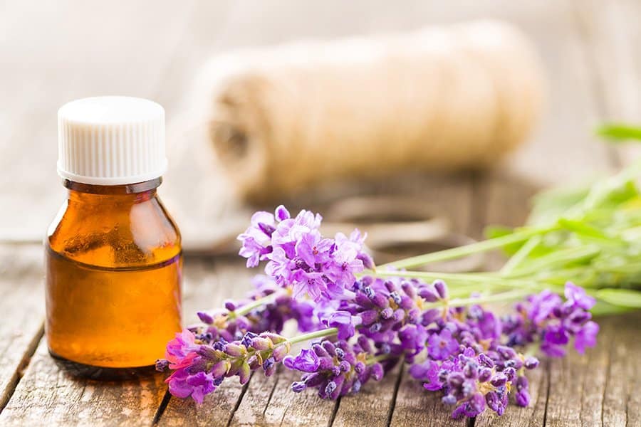 lavender essential oil blend