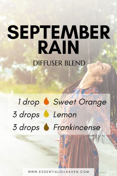 september rain diffuser blend for fall