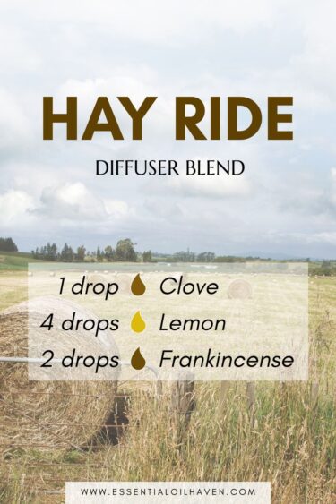 essential oil diffuser blend for fall, hay ride theme