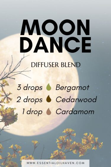 harvest fest diffuser blend for fall nights