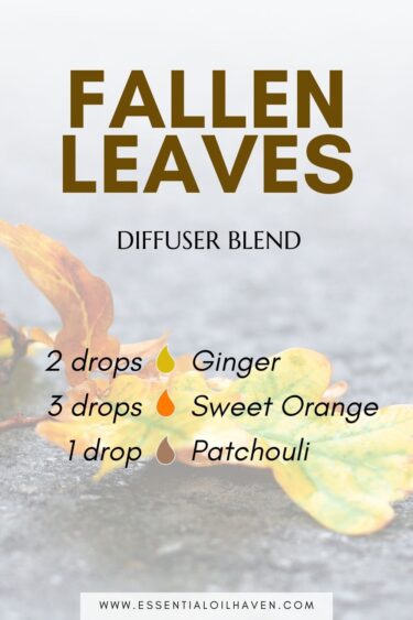 fall diffuser blend with essential oils of ginger, sweet orange, and patchouli