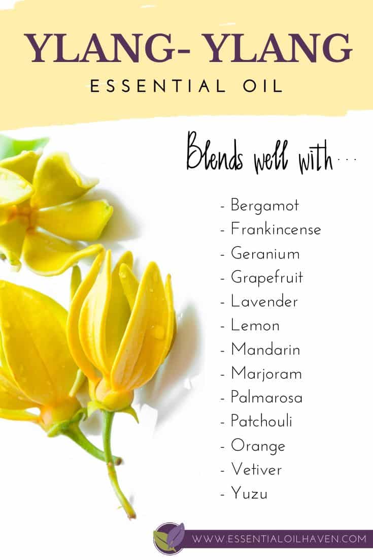 10 Diffuser Blends with Ylang Ylang Essential Oil FREE Recipes!