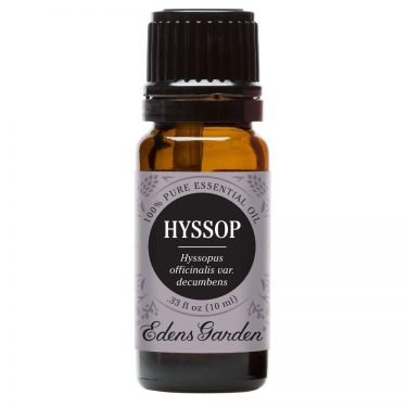 hyssop essential oil