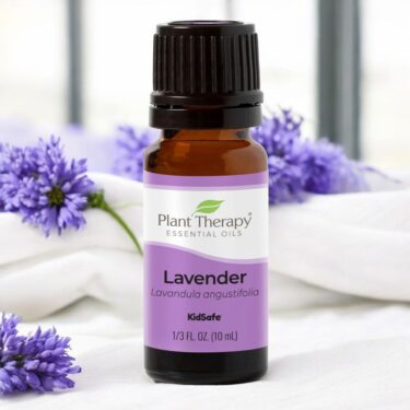 lavender essential oil