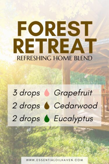 forest retreat diffuser blend