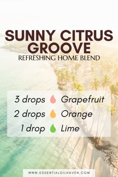 citrus diffuser blend