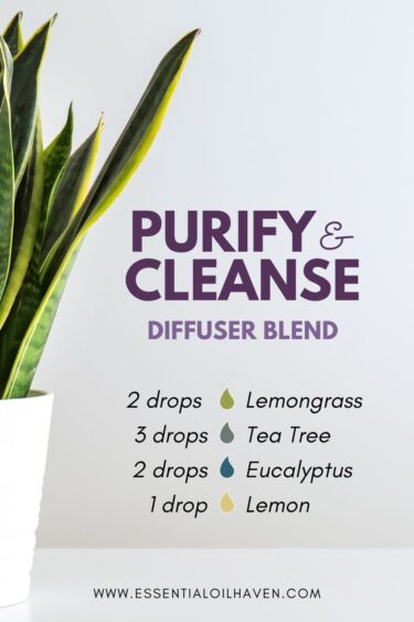 lemongrass diffuser blend purify and cleanse