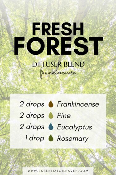 fresh forest frankincense diffuser blend