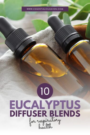 10 eucalyptus diffuser blends