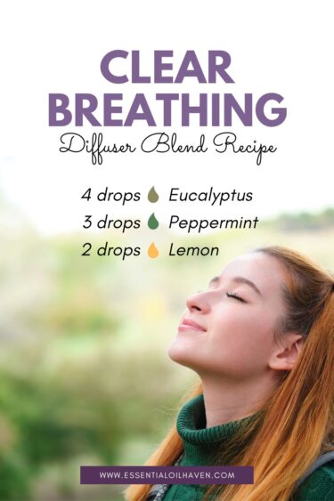 clear breathing eucalyptus diffuser blend