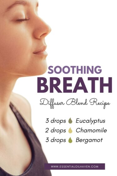 eucalyptus diffuser blend for better breathing