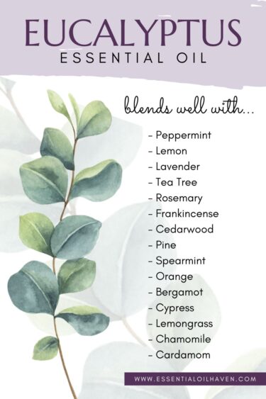 essential oils that blend well with eucalyptus