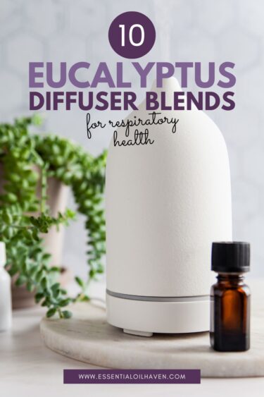 eucalyptus diffuser blends