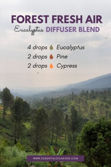 eucalyptus diffuser blend forest fresh air